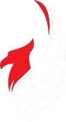 Phoenix Fight Gym logo